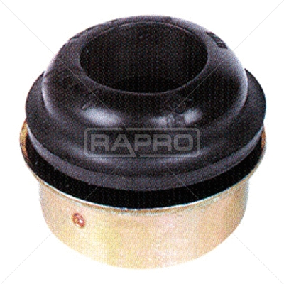 Mounting, engine (R55239)