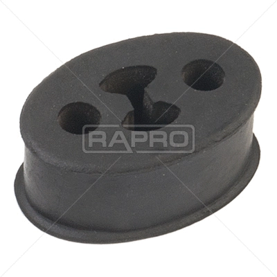 Mount, exhaust system (R52248)