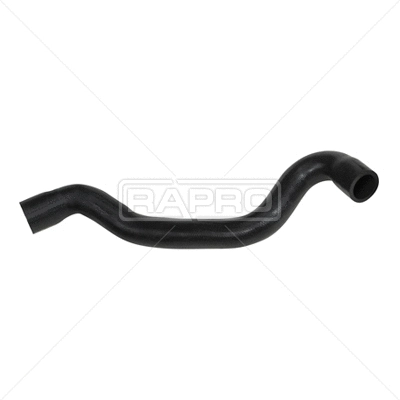 Radiator Hose (R25142)