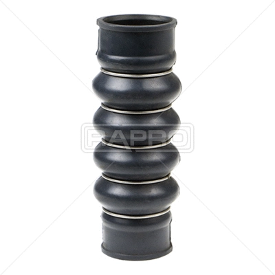 Charge Air Hose (R16379)