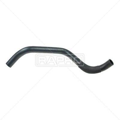 Radiator Hose (R38166)
