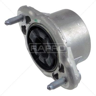 Suspension Strut Support Mount (R54438)