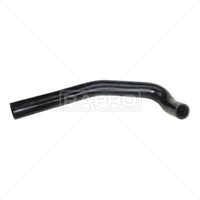 Radiator Hose (R12388)