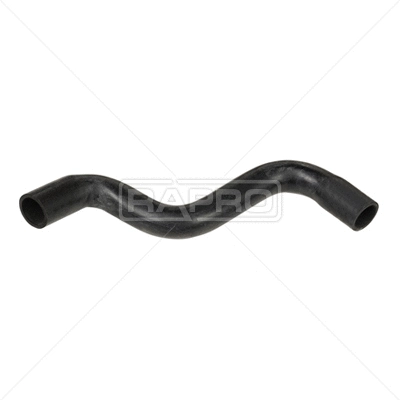 Radiator Hose (R12257)