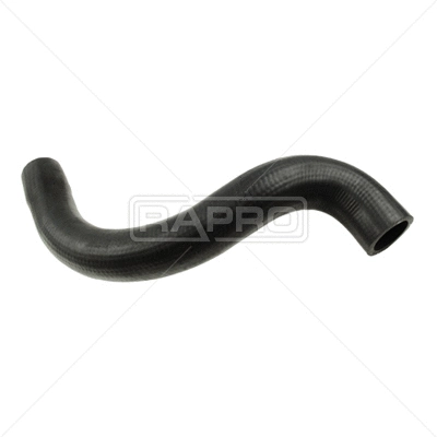 Radiator Hose (R12580)