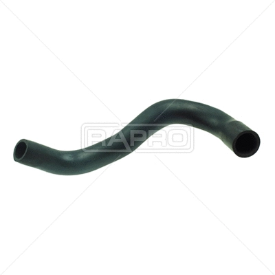 Radiator Hose (R31169)