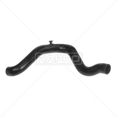 Radiator Hose (R12407)