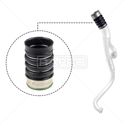 Charge Air Hose (R19805)
