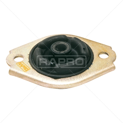 Suspension Strut Support Mount (R57023)