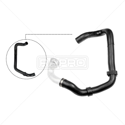 Radiator Hose (R25070)