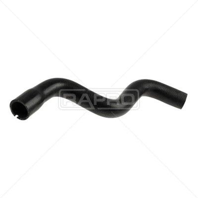 Radiator Hose (R11447)