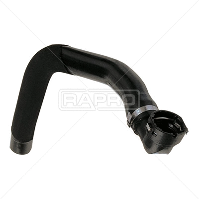 Radiator Hose (R11163)