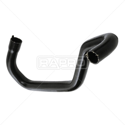 Radiator Hose (R15123)