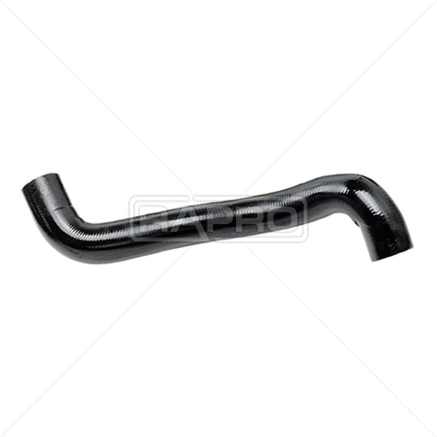 Radiator Hose (R12185)