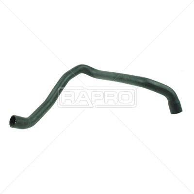 Radiator Hose (R25431)
