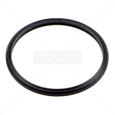 Seal Ring, air filter housing intake hose (R19822)