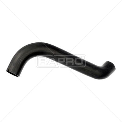Radiator Hose (R36376)