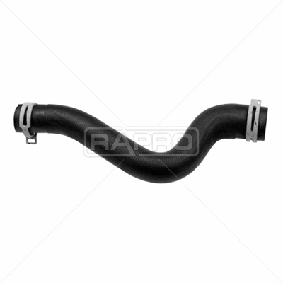 Radiator Hose (R15684)