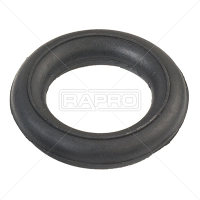 Mount, exhaust system (R52246)