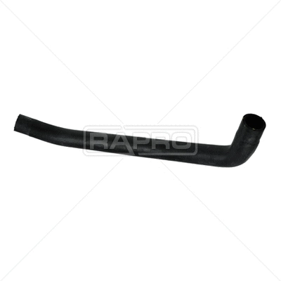 Radiator Hose (R25342)