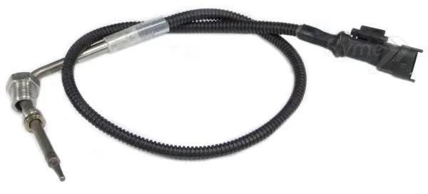 Sensor, exhaust gas temperature (10821F)