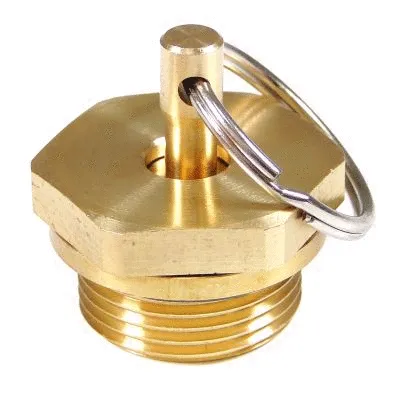 Water Drain Valve (4201028)