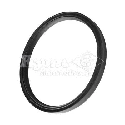 Shaft Seal, wheel hub (17547)