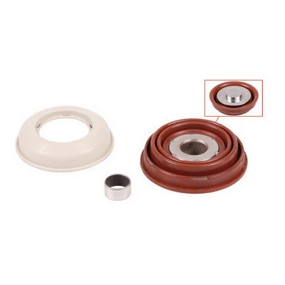 Repair Kit, brake caliper (341599)