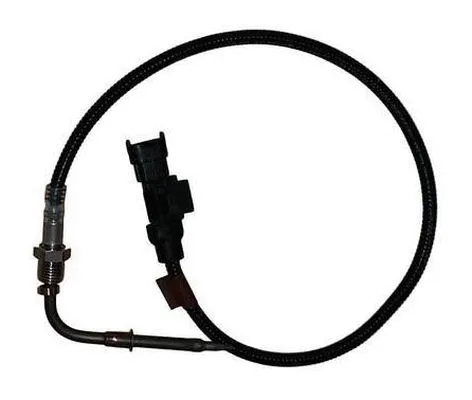 Sensor, exhaust gas temperature (10819F)