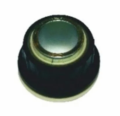 Bushing, leaf spring (322218)