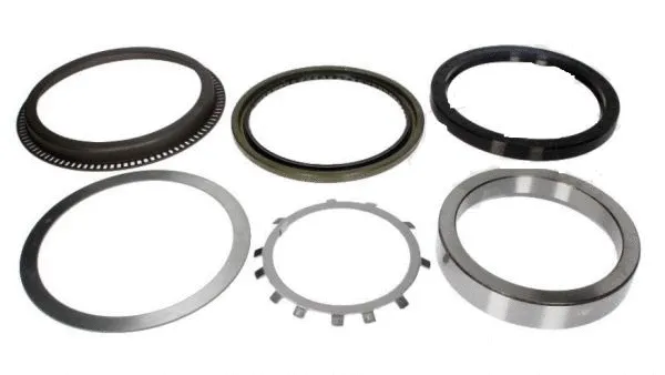 Shaft Seal, wheel hub (17579)