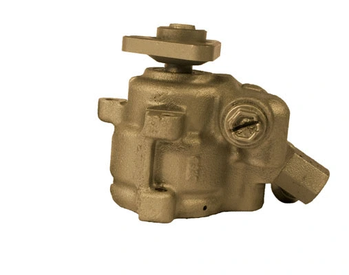 Hydraulic Pump, steering (07B460)