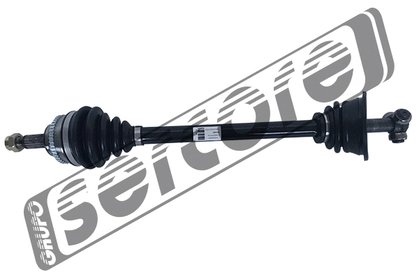 Drive Shaft (22810A)