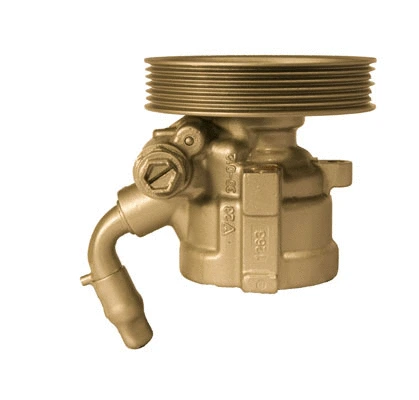 Hydraulic Pump, steering (07B421A)