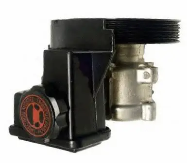 Hydraulic Pump, steering (07B495DB)