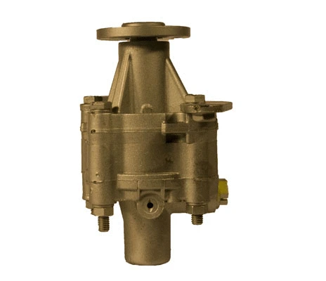 Hydraulic Pump, steering (07B418V)