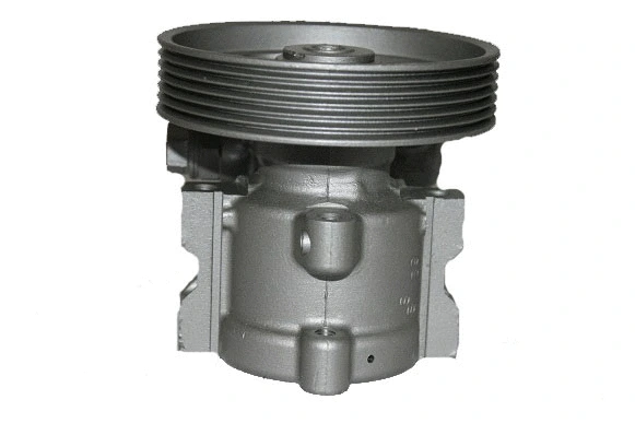 Hydraulic Pump, steering (07B435B)