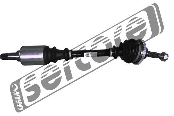 Drive Shaft