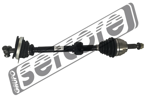 Drive Shaft (22810)