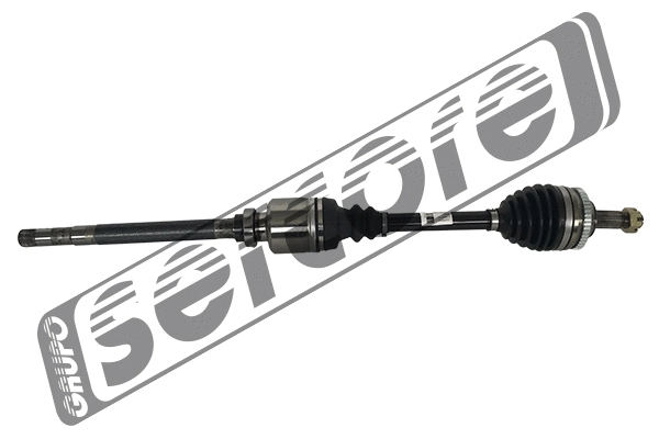 Drive Shaft (22453A)