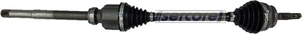 Drive Shaft (221656)