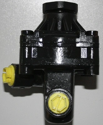 Hydraulic Pump, steering (07B404)