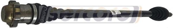 Drive Shaft