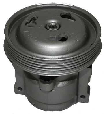 Hydraulic Pump, steering (07B465)