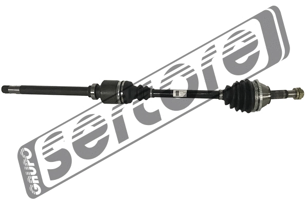 Drive Shaft (22455A)