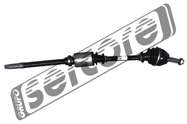 Drive Shaft (22731)