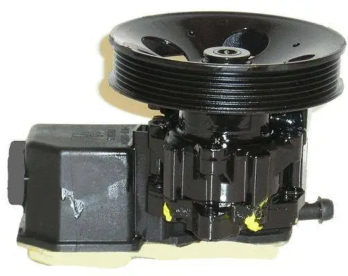 Hydraulic Pump, steering (07B478Z)