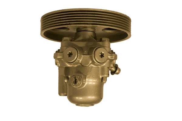 Hydraulic Pump, steering (07B430D)