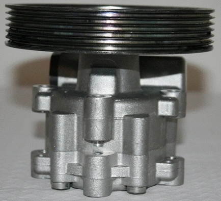 Hydraulic Pump, steering (07B1028)