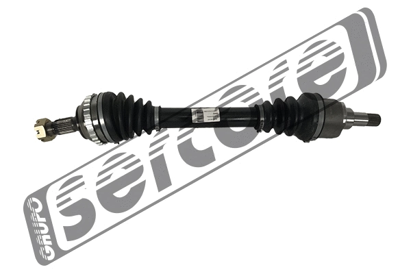 Drive Shaft (22464)